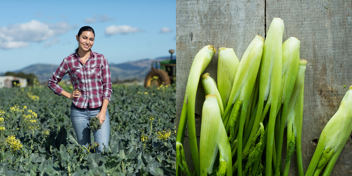 farm.to.plate.fresh.ingredient.jpg